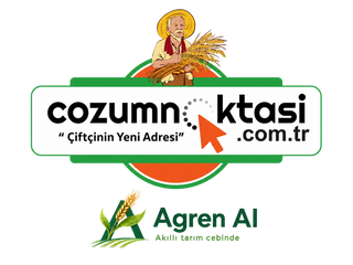 Mağazam