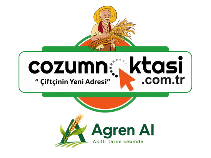 Mağazam