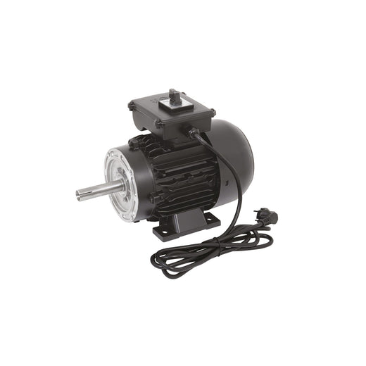 Melasty Süt Sağım Sistemi Elektrik Motoru (220V-50Hz-1,5kW)